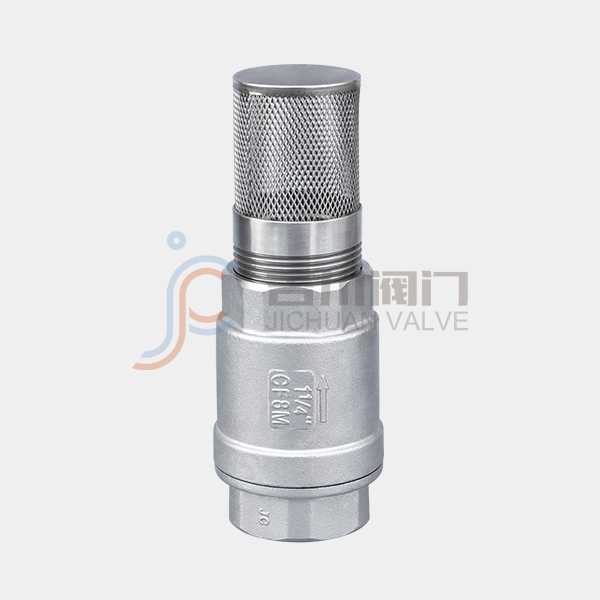 Check valve with filter screen