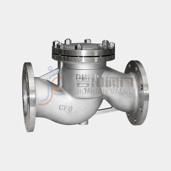 Flange lift check valve