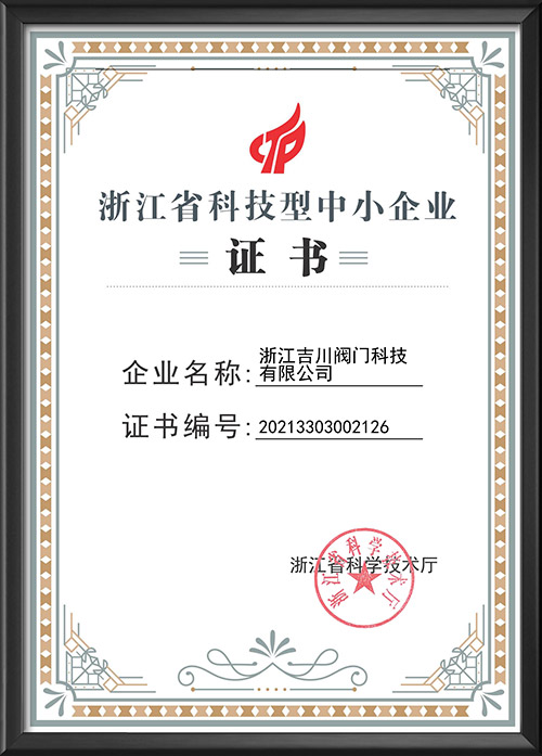 Zhejiang Science and technology SME Certificate